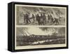 The War in Egypt, the Occupation of Cairo-null-Framed Stretched Canvas