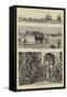 The War in Egypt-William Lionel Wyllie-Framed Stretched Canvas