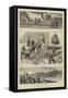 The War in Egypt-William Ralston-Framed Stretched Canvas