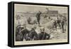 The War in Egypt-Adrien Emmanuel Marie-Framed Stretched Canvas