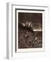 The War in Heaven-Gustave Dore-Framed Giclee Print