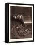 The War in Heaven-Gustave Dore-Framed Stretched Canvas