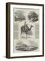 The War in India, Sketches in the Punjaub and Sikh Country-null-Framed Giclee Print