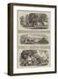 The War in India-null-Framed Giclee Print