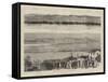 The War in the East, the Crossing of the Danube by the Russians-null-Framed Stretched Canvas