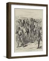 The War in the Soudan, Camel Artillery on the Way to the Front-null-Framed Giclee Print