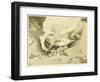 The War of the Worlds, The Mysterious "Thing" That Has Landed in the Sand-Pits-Henrique Alvim Corr?a-Framed Art Print