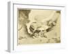 The War of the Worlds, The Mysterious "Thing" That Has Landed in the Sand-Pits-Henrique Alvim Corr?a-Framed Art Print