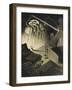 [The War Of the Worlds-Henrique Alvim-Correa-Framed Giclee Print