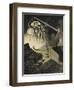 [The War Of the Worlds-Henrique Alvim-Correa-Framed Giclee Print