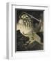 [The War Of the Worlds-Henrique Alvim-Correa-Framed Giclee Print