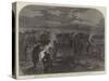 The War, Prussian Provision-Train Camping on the Field of Sadowa-null-Stretched Canvas