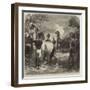 The War, Shooting Wounded Horses after a Battle-null-Framed Giclee Print