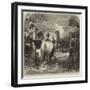 The War, Shooting Wounded Horses after a Battle-null-Framed Giclee Print