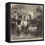 The War, Shooting Wounded Horses after a Battle-null-Framed Stretched Canvas