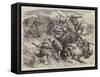 The War, the Turcos and their Mode of Fighting-Edmond Morin-Framed Stretched Canvas