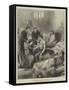 The War, Wounded Servians in the Hospital at Usicza-null-Framed Stretched Canvas