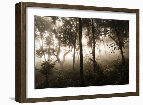 The Warm Glow of Sunshine Streams Through the Low-Lying Fog Above Phewa Lake Above Pokhara, Nepal-Sergio Ballivian-Framed Photographic Print