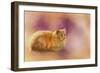 The Warmth of a Perfect Day-Jai Johnson-Framed Giclee Print