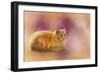 The Warmth of a Perfect Day-Jai Johnson-Framed Giclee Print