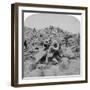 The Warwicks Skirmishing with Boers Near Weppener, East of Bloemfontein, South Africa, 1901-Underwood & Underwood-Framed Giclee Print