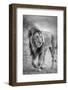 The wary champion-Jeffrey C. Sink-Framed Photographic Print
