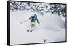 The Wasatch Gets Slammed. Mali Noyes Storm Skiing, Alta Ski Area, Utah-Louis Arevalo-Framed Stretched Canvas