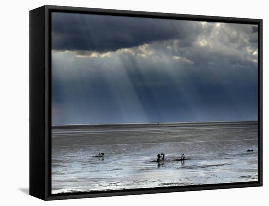 The Wash, Norfolk, Beach Landscape with Storm Clouds and Bait Diggers, UK-Gary Smith-Framed Stretched Canvas