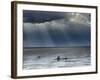 The Wash, Norfolk, Beach Landscape with Storm Clouds and Bait Diggers, UK-Gary Smith-Framed Photographic Print