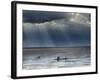 The Wash, Norfolk, Beach Landscape with Storm Clouds and Bait Diggers, UK-Gary Smith-Framed Photographic Print