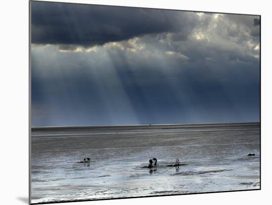 The Wash, Norfolk, Beach Landscape with Storm Clouds and Bait Diggers, UK-Gary Smith-Mounted Photographic Print