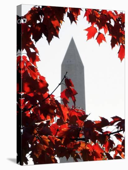 The Washington Monument Surrounded by the Brilliant Colored Leaves-Ron Edmonds-Stretched Canvas