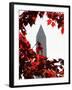 The Washington Monument Surrounded by the Brilliant Colored Leaves-Ron Edmonds-Framed Premium Photographic Print