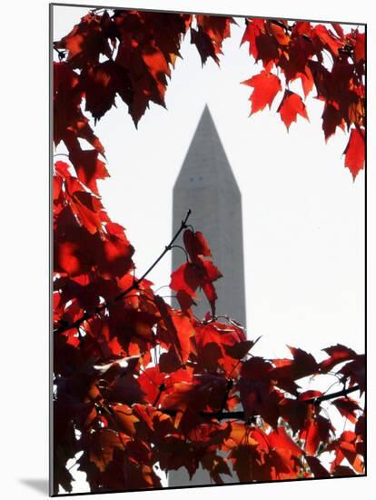 The Washington Monument Surrounded by the Brilliant Colored Leaves-Ron Edmonds-Mounted Photographic Print