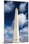 The Washington Monument, Washington DC, USA-Russ Bishop-Mounted Premium Photographic Print