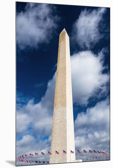 The Washington Monument, Washington DC, USA-Russ Bishop-Mounted Premium Photographic Print