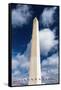 The Washington Monument, Washington DC, USA-Russ Bishop-Framed Stretched Canvas