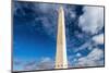 The Washington Monument, Washington DC, USA-Russ Bishop-Mounted Photographic Print