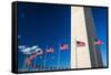 The Washington Monument, Washington DC, USA-Russ Bishop-Framed Stretched Canvas