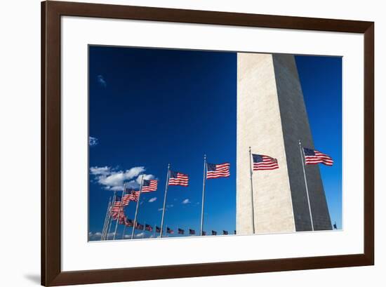 The Washington Monument, Washington DC, USA-Russ Bishop-Framed Premium Photographic Print