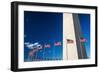 The Washington Monument, Washington DC, USA-Russ Bishop-Framed Photographic Print