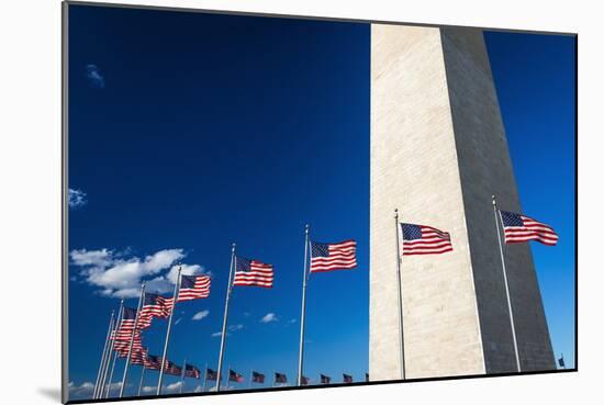 The Washington Monument, Washington DC, USA-Russ Bishop-Mounted Photographic Print