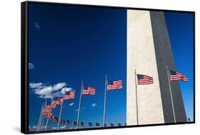 The Washington Monument, Washington DC, USA-Russ Bishop-Framed Stretched Canvas