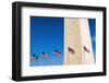 The Washington Monument, Washington DC, USA-Russ Bishop-Framed Photographic Print