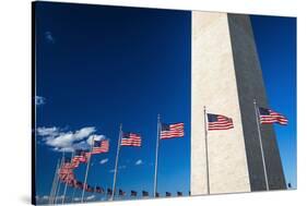 The Washington Monument, Washington DC, USA-Russ Bishop-Stretched Canvas