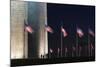 The Washington Monument, Washington Dc.-Jon Hicks-Mounted Photographic Print