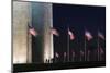 The Washington Monument, Washington Dc.-Jon Hicks-Mounted Photographic Print