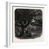 The Watch Oak, Windsor, UK, 19th Century-null-Framed Giclee Print