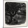 The Watch Oak, Windsor, UK, 19th Century-null-Mounted Giclee Print