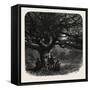 The Watch Oak, Windsor, UK, 19th Century-null-Framed Stretched Canvas